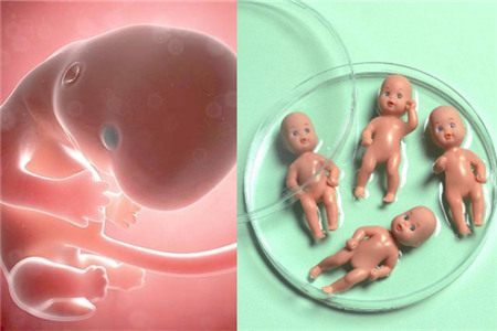 包生男孩助孕机构代生供卵医院